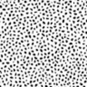 Meet your Posher, Violet